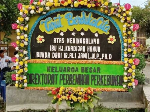 Papan Bunga Styrofoam Dukacita Bunga Segar