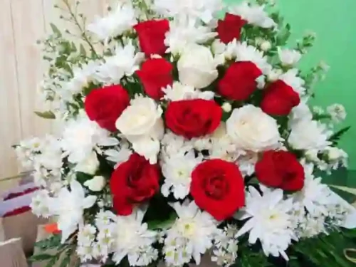 bunga-meja Bunga Meja